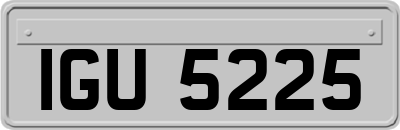 IGU5225