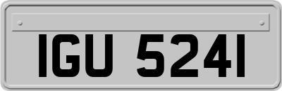 IGU5241