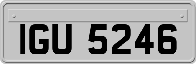 IGU5246