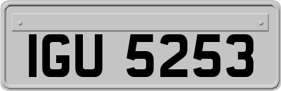IGU5253