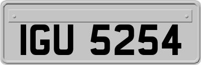 IGU5254