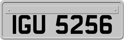 IGU5256
