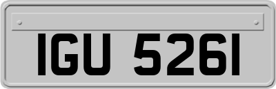 IGU5261