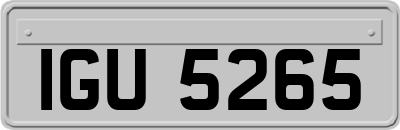 IGU5265