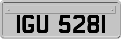 IGU5281