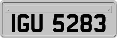 IGU5283