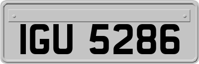 IGU5286