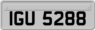 IGU5288