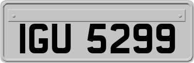IGU5299