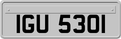 IGU5301