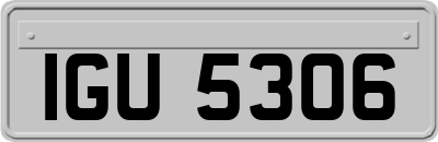IGU5306