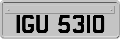 IGU5310