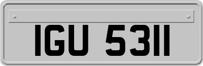 IGU5311