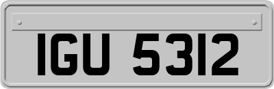 IGU5312