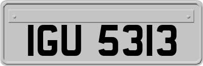 IGU5313