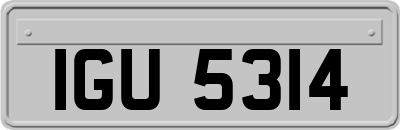 IGU5314