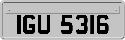 IGU5316