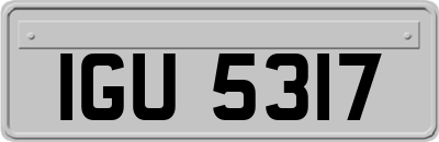 IGU5317