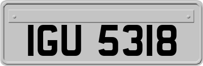IGU5318