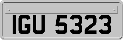 IGU5323