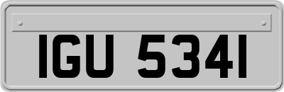 IGU5341