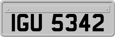 IGU5342