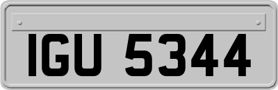 IGU5344