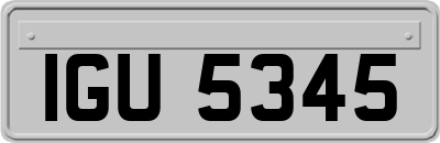 IGU5345