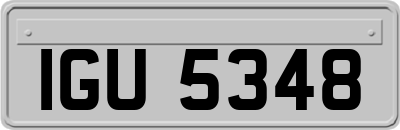 IGU5348