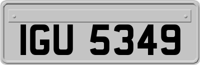 IGU5349