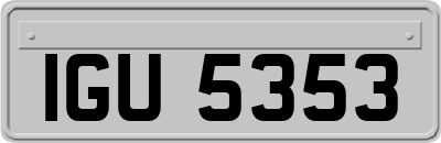 IGU5353