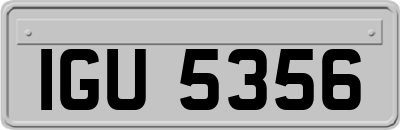 IGU5356