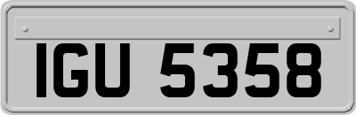 IGU5358