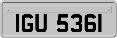 IGU5361