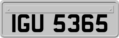 IGU5365