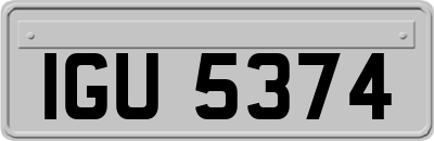 IGU5374