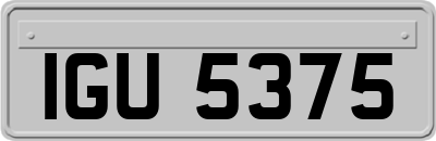 IGU5375