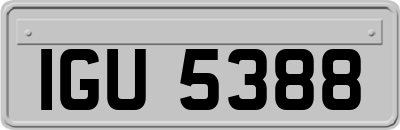 IGU5388