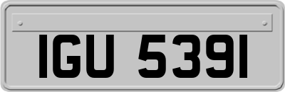 IGU5391