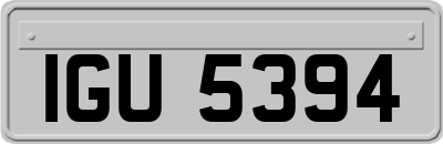 IGU5394