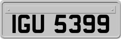IGU5399