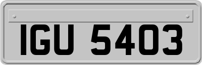 IGU5403