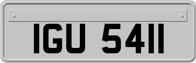 IGU5411