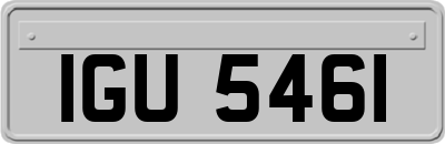 IGU5461