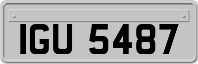 IGU5487