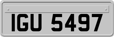 IGU5497
