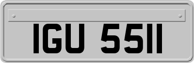 IGU5511