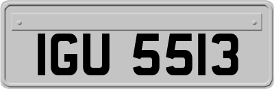IGU5513