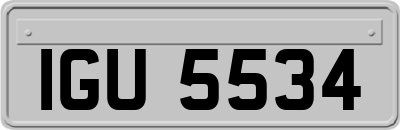IGU5534