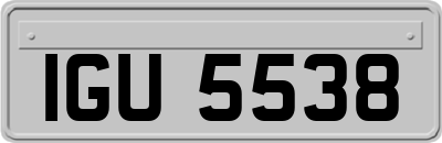 IGU5538